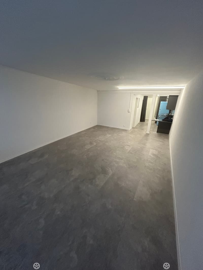 Magnifique 1.5 pièce au coeur de la vieille Ville de Bienne (6)