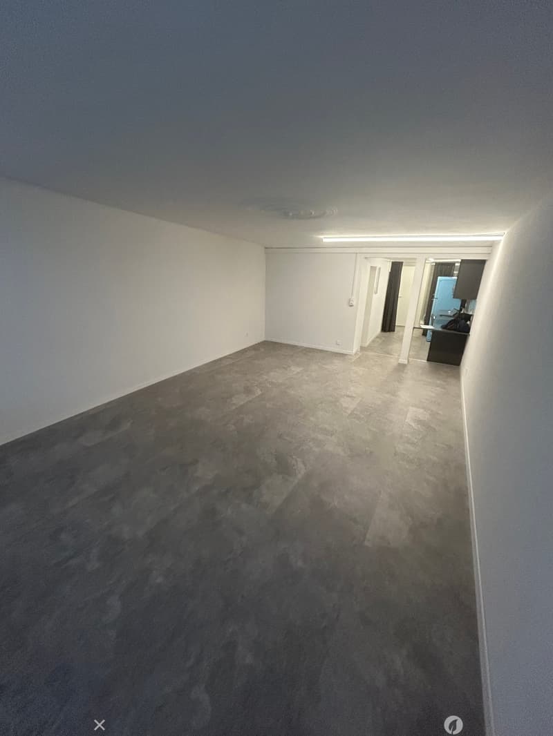 Magnifique 1.5 pièce au coeur de la vieille Ville de Bienne (6)
