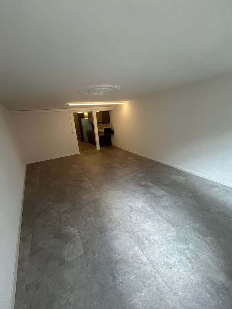 Magnifique 1.5 pièce au coeur de la vieille Ville de Bienne (9)