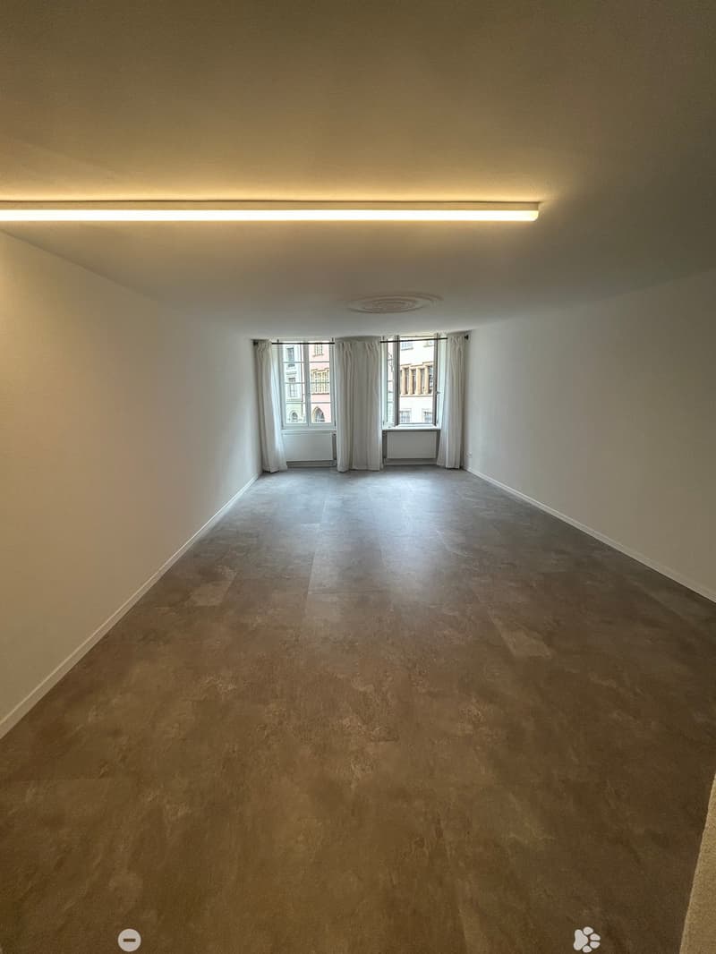 Magnifique 1.5 pièce au coeur de la vieille Ville de Bienne (7)
