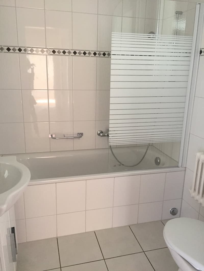 Charmant appartement de 3 pcs – disponible de suite / Charmante 3-Zimmer-Wohnung – Sofort verfügbar (11)