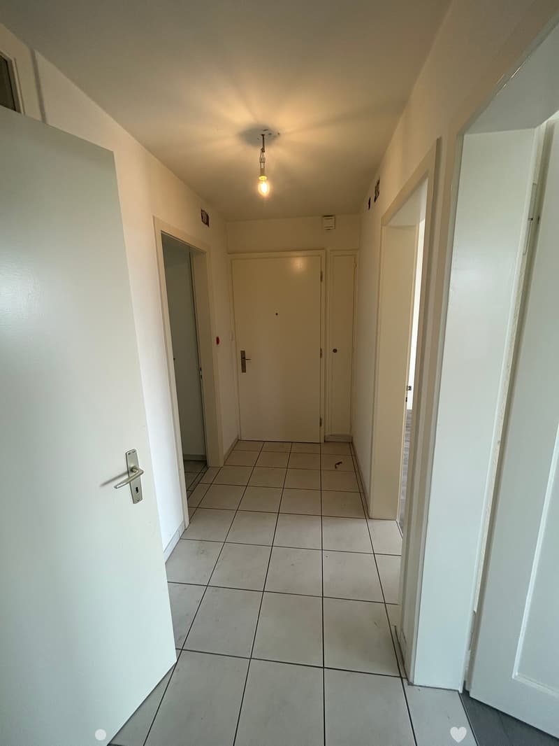 Bel appartement de 3 pièces dans quartier calme à Bienne (3)