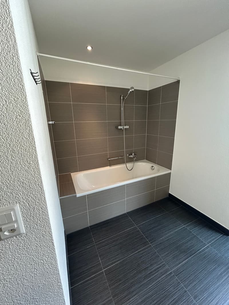 Unique appartement au centre de Bienne avec ascenseur dans l'appartement (19)