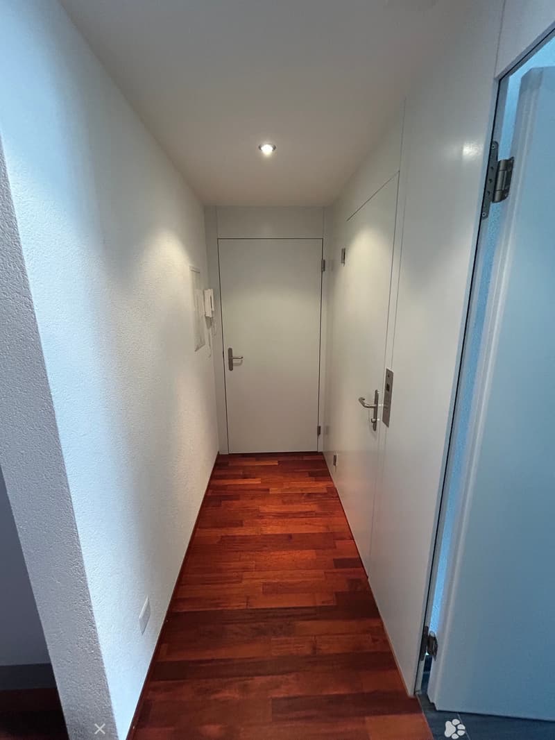 Unique appartement au centre de Bienne avec ascenseur dans l'appartement (2)