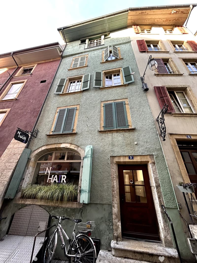 Charmant appartement de 2 pièces rénové dans la vieille ville de Bienne (1)