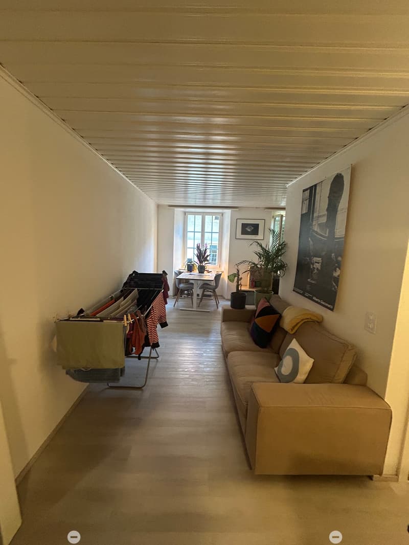 Charmant appartement de 2 pièces rénové dans la vieille ville de Bienne (5)