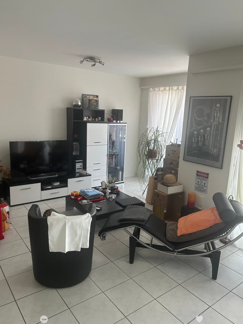 Appartement lumineux de 3 pièces bien situé à Bienne (5)