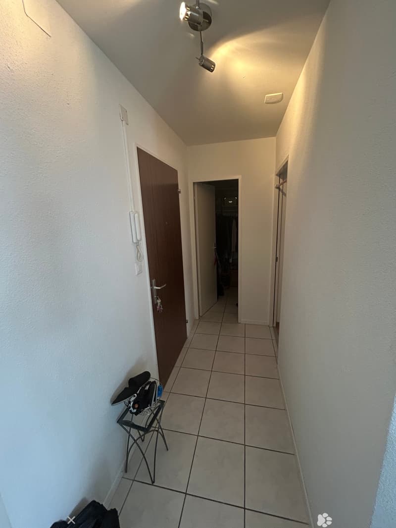 Appartement lumineux de 3 pièces bien situé à Bienne (2)