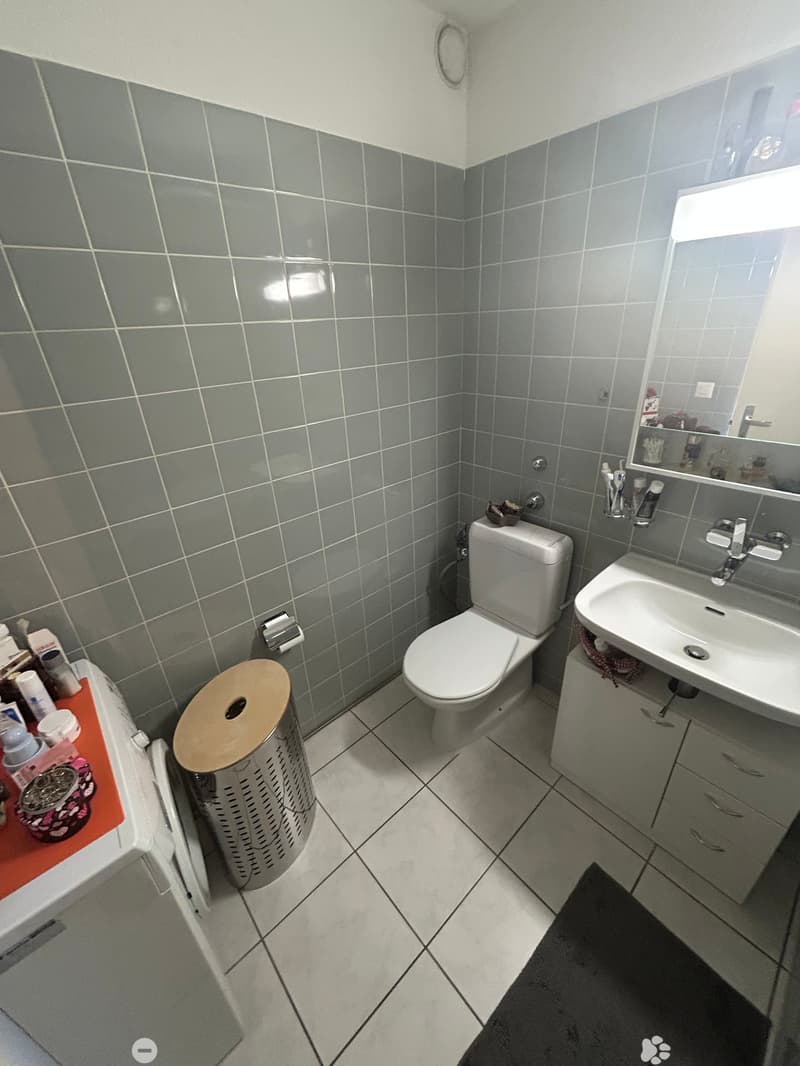 Appartement lumineux de 3 pièces bien situé à Bienne (7)