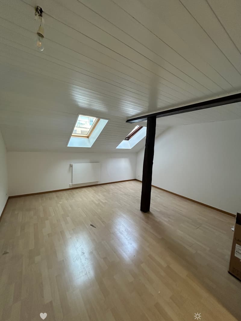 Beau studio en pleine Ville de Bienne (4)