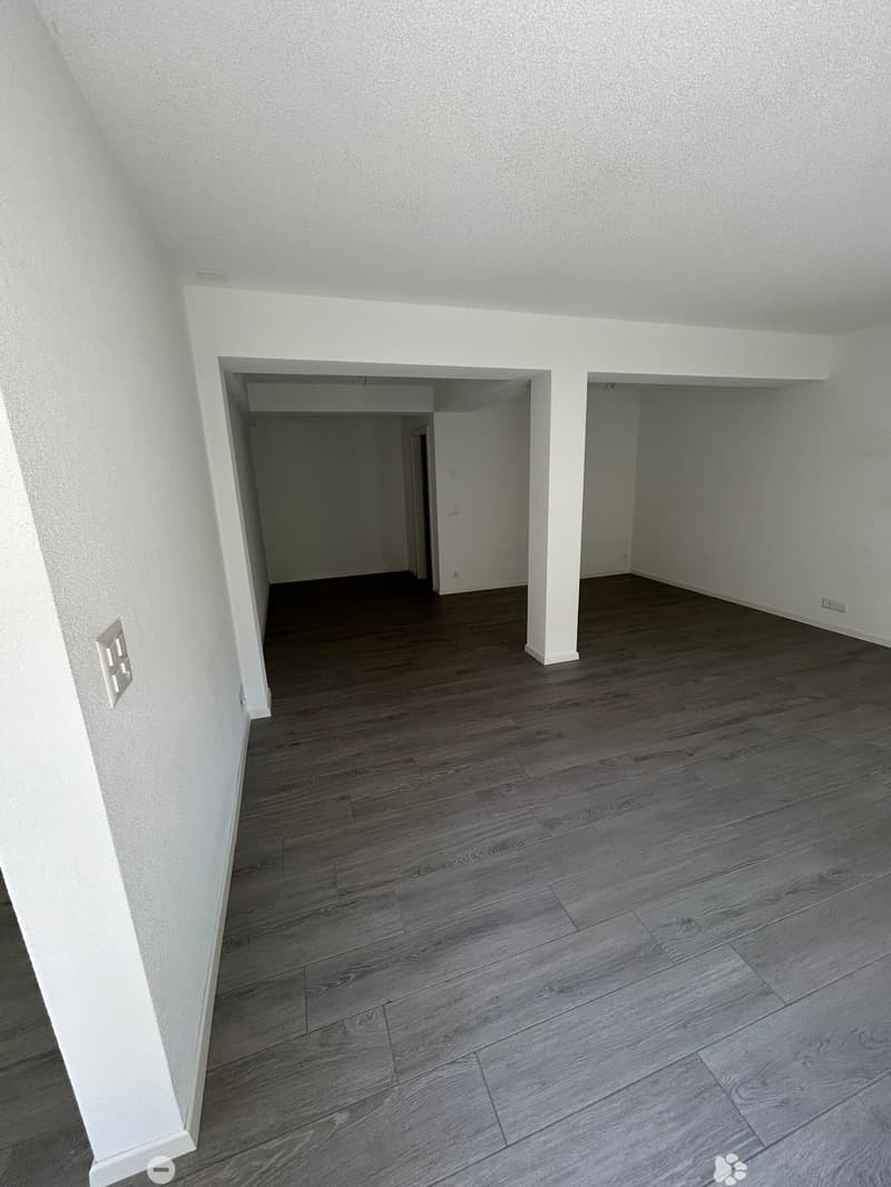Charmant appartement de 1,5 pièce au cœur de Bienne (5)
