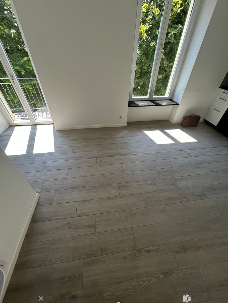 Charmant appartement de 1,5 pièce au cœur de Bienne (2)