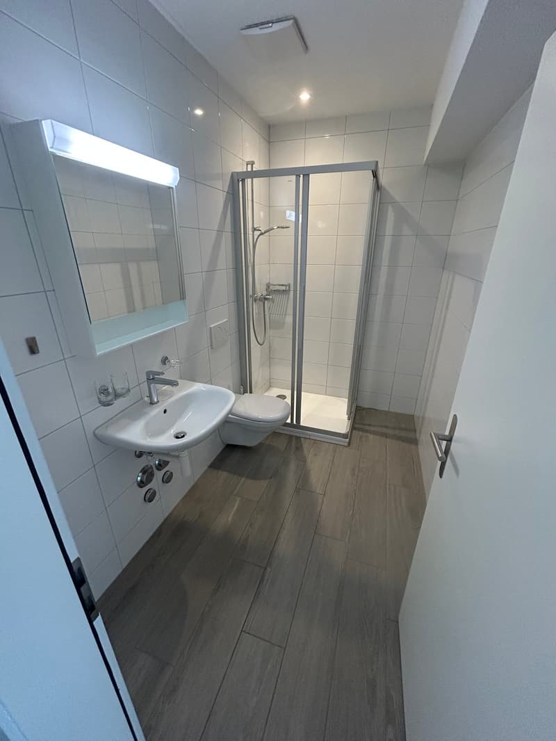 Charmant appartement de 1,5 pièce au cœur de Bienne (8)