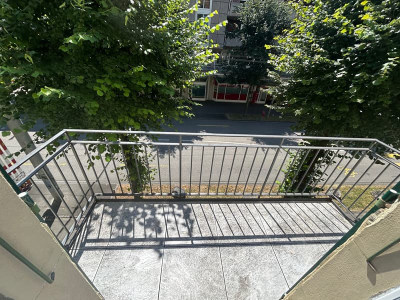 Charmant appartement de 1,5 pièce au cœur de Bienne (9)