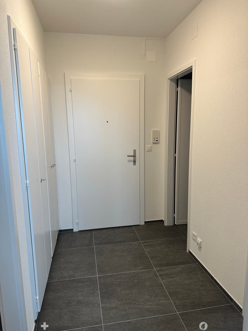 Appartement lumineux avec vue au 9ème étage à Bienne (5)