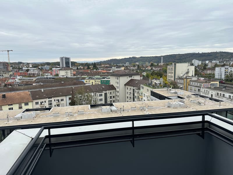 Appartement lumineux avec vue au 9ème étage à Bienne (10)