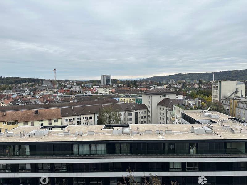 Appartement lumineux avec vue au 9ème étage à Bienne (7)