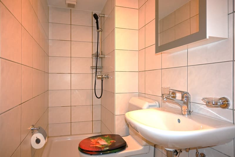 1-Zimmerwohnung in der Oberstadt von Burgdorf (3)