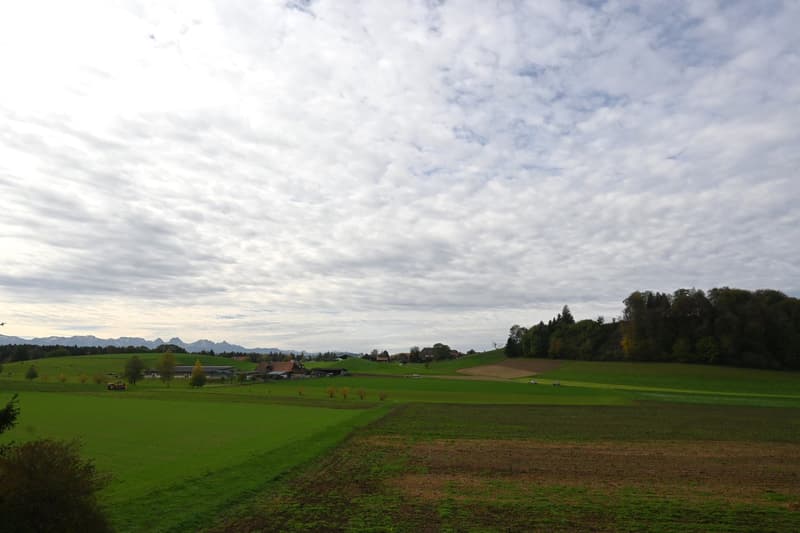 Grosszügige sowie Helle 3.5 Zimmerwohnung an ruhiger Lage in Worb! (9)