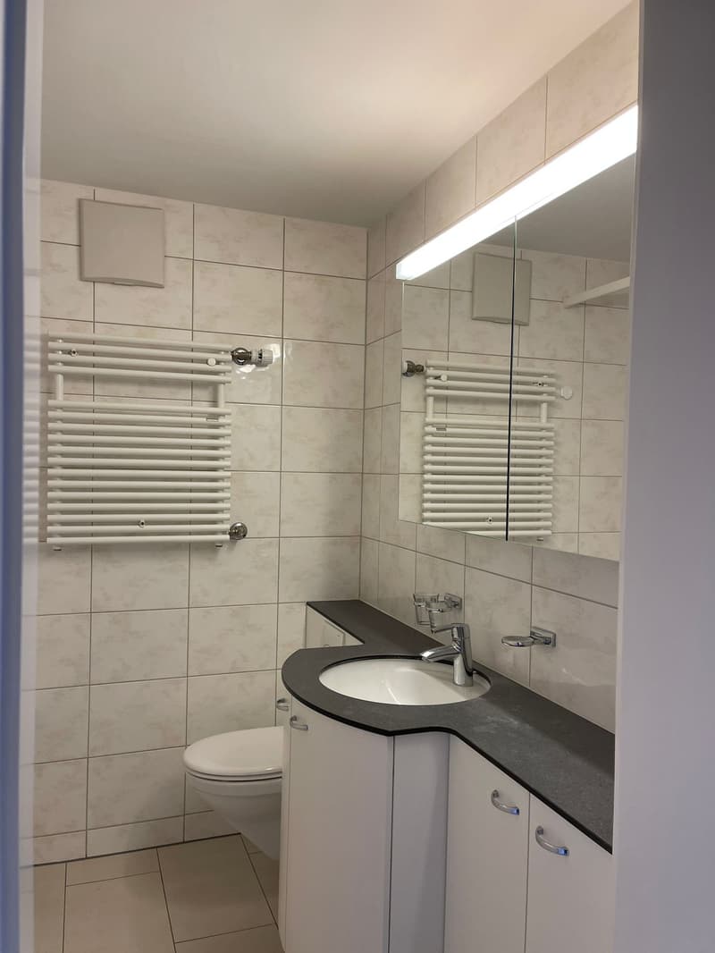 Bathroom with a toilet, sink with faucet, black countertop, white tiles, white cabinet, mirror and radiator