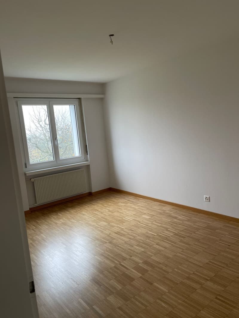 empty room, white walls, wooden floor, window, white radiator