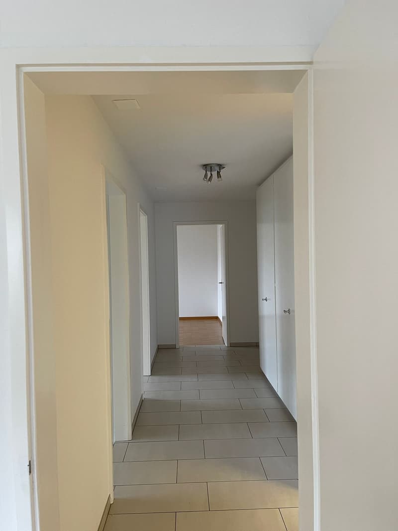 White painted walls, floor with tiles, open doorway, two cabinets on the side, ceiling lamps.