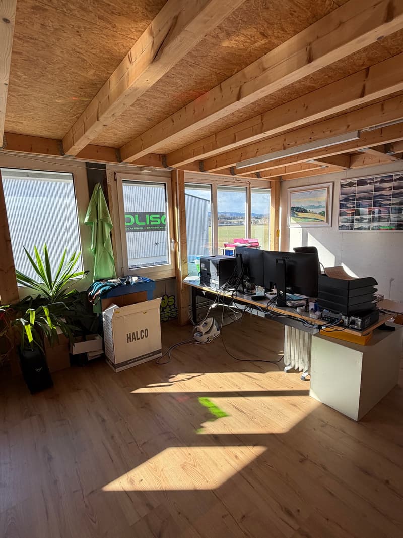 Office setup with desks, computers, radiators, potted plants, storage boxes and framed pictures