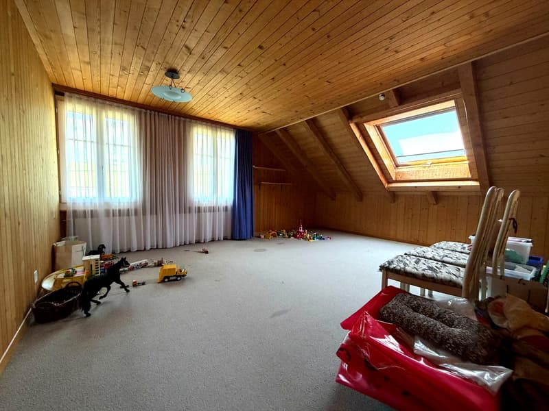 wooden walls, carpeted floor, two windows with white curtains, blue curtain, toys, black dog, storage boxes, plastic bags