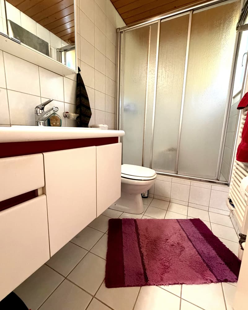 Einfamilienhaus mit Einlegerwohnung und Zimmer (4)