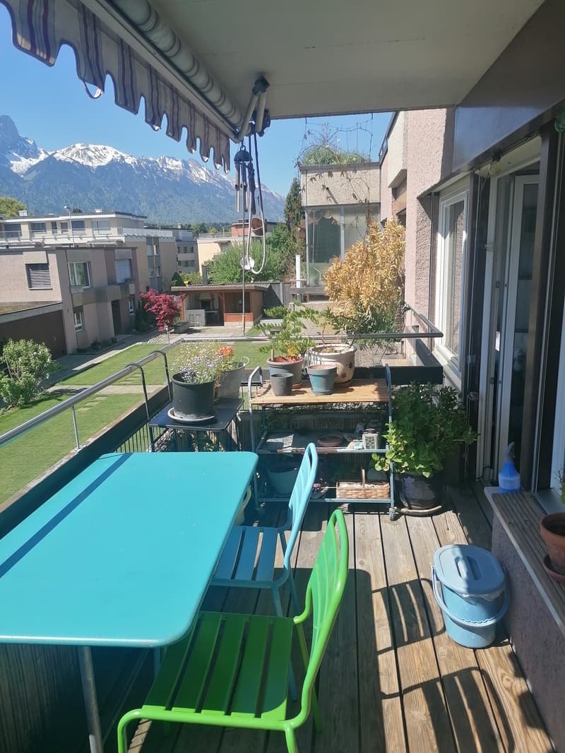 Sicht zu den Alpen (12)