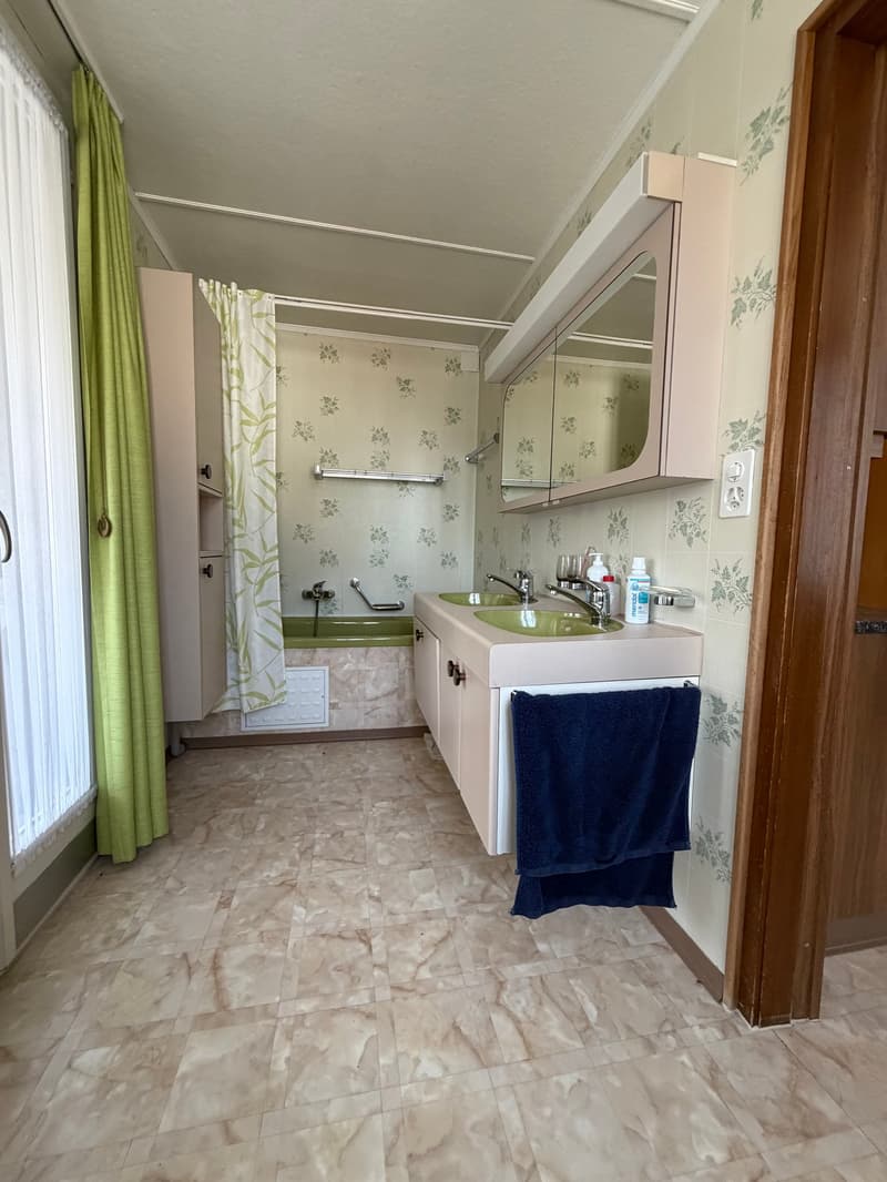 Wohngeschäftshaus mit grosszügigem Nebengebäude (7)
