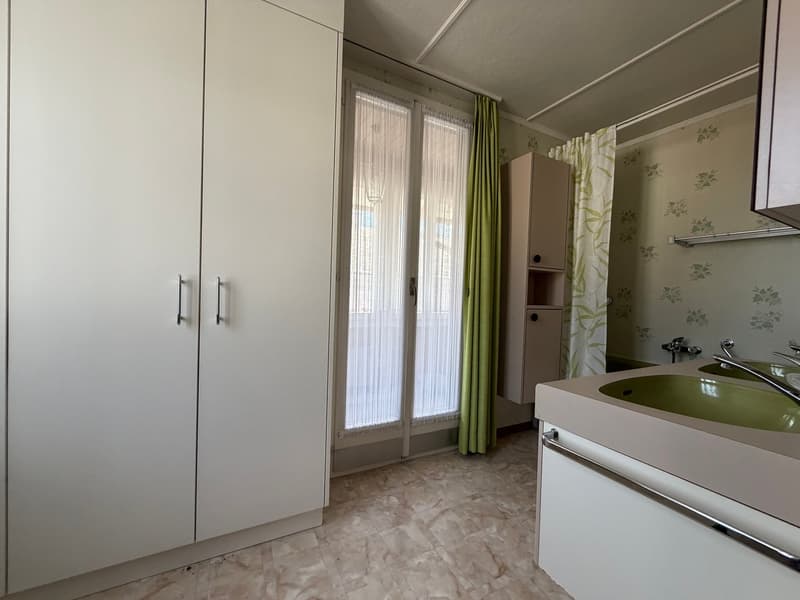 Wohngeschäftshaus mit grosszügigem Nebengebäude (8)
