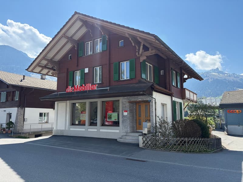 Wohngeschäftshaus mit grosszügigem Nebengebäude (3)
