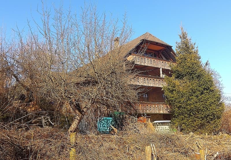 Bauernhaus mit Pferdestall (1)