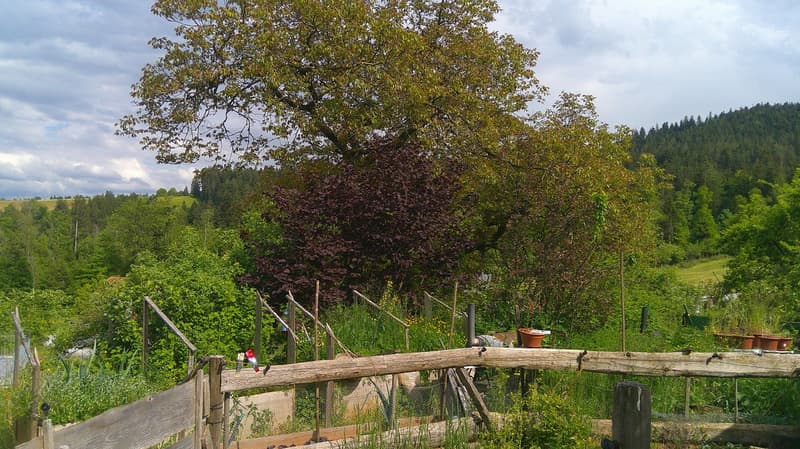 Bauernhaus mit Pferdestall (7)