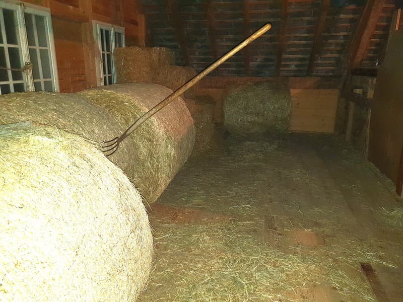 Bauernhaus mit Pferdestall (5)