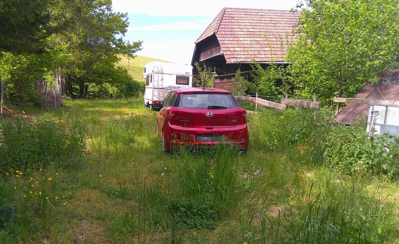 Bauernhaus mit Pferdestall (11)