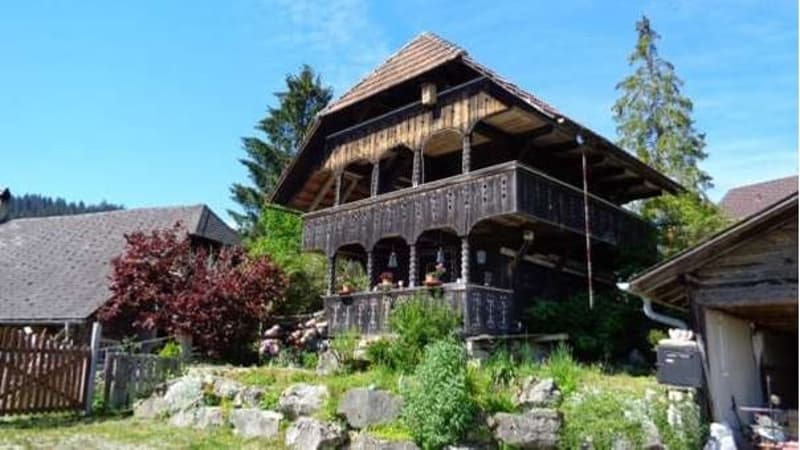 Bauernhaus mit Pferdestall (9)