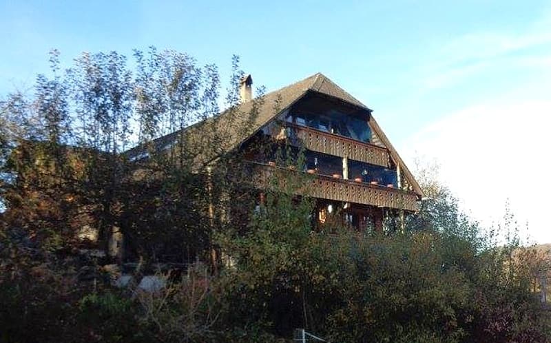 Bauernhaus mit Pferdestall (14)