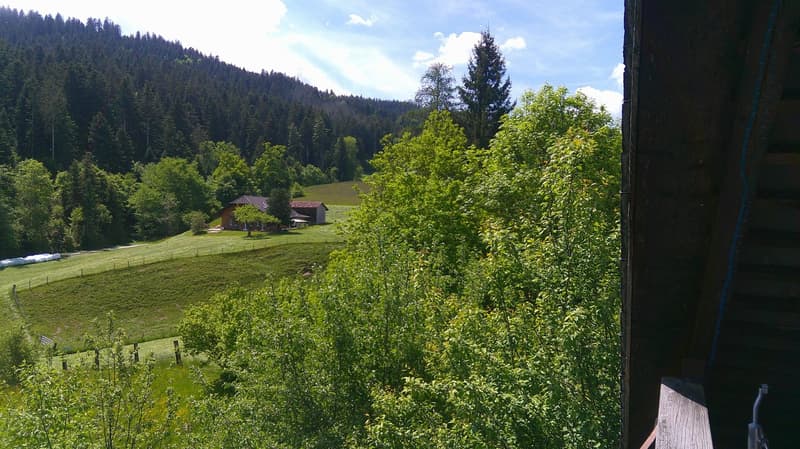 Bauernhaus mit Pferdestall (12)