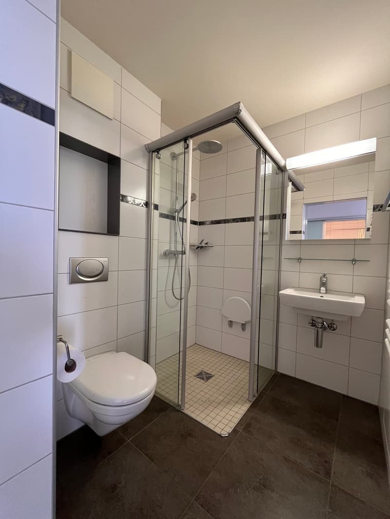 grosse 4.5-Zimmer Wohnung mit div. Nebenräumen an zentraler Lage (12)