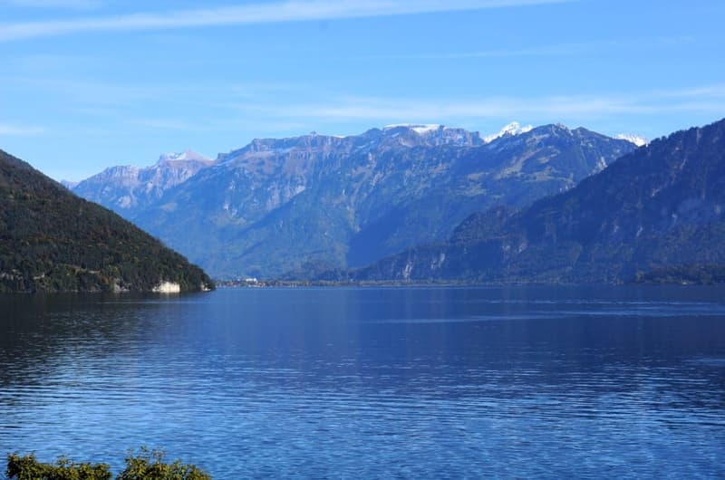 Panorama
