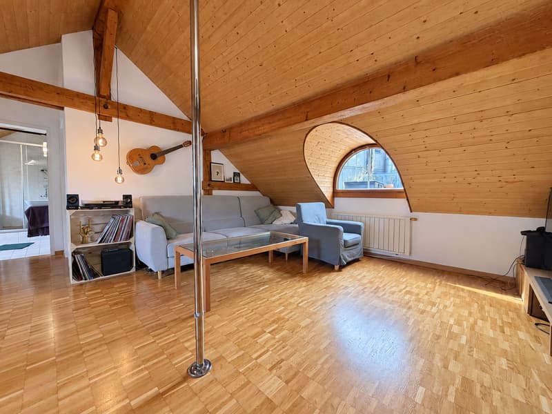 Charmante 3-Duplex-Dachwohnung (5)