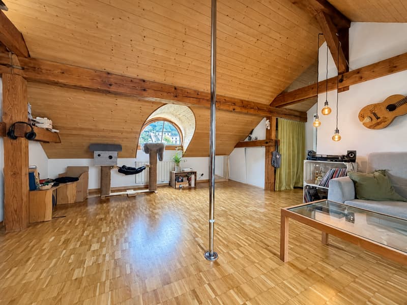Charmante 3-Duplex-Dachwohnung (4)