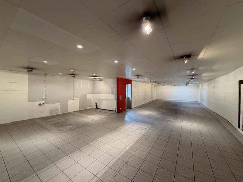 Surface commerciale, 3600 Thun (4)