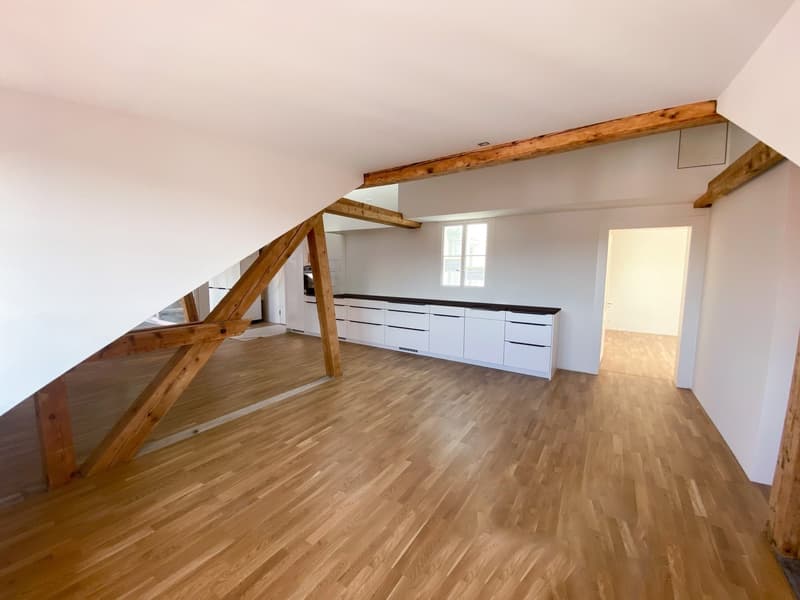 Dachwohnung mit Loggia in Thun (3)