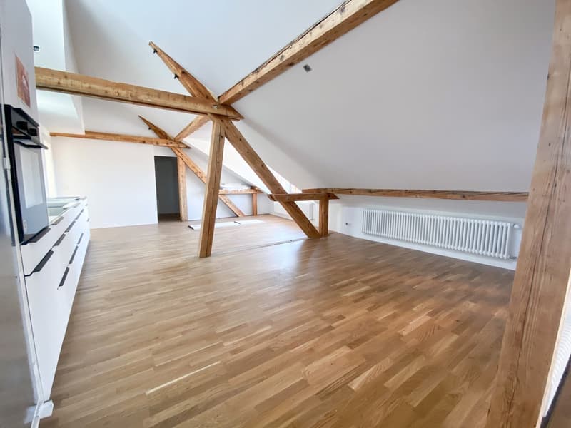 Dachwohnung mit Loggia in Thun (5)