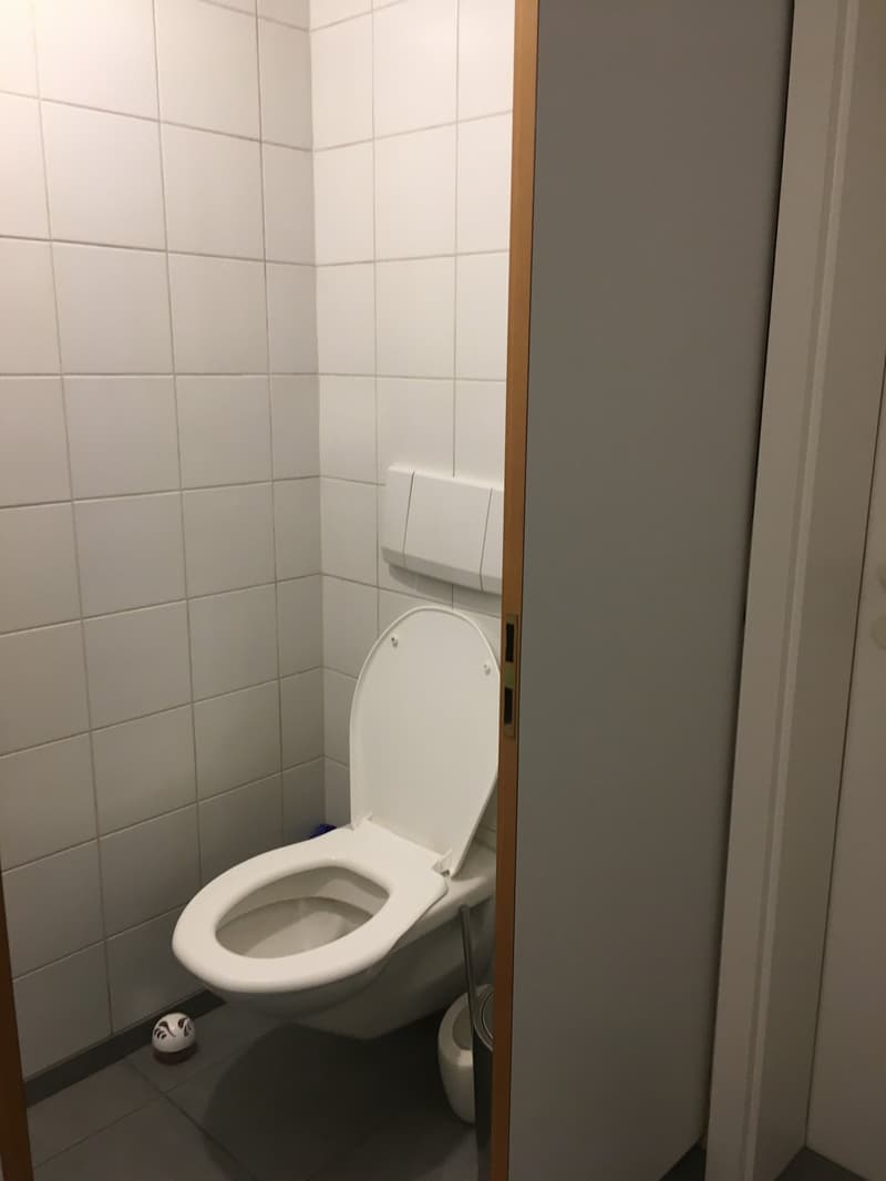 Büro oder Praxisräume im Zentrum von Bern (9)
