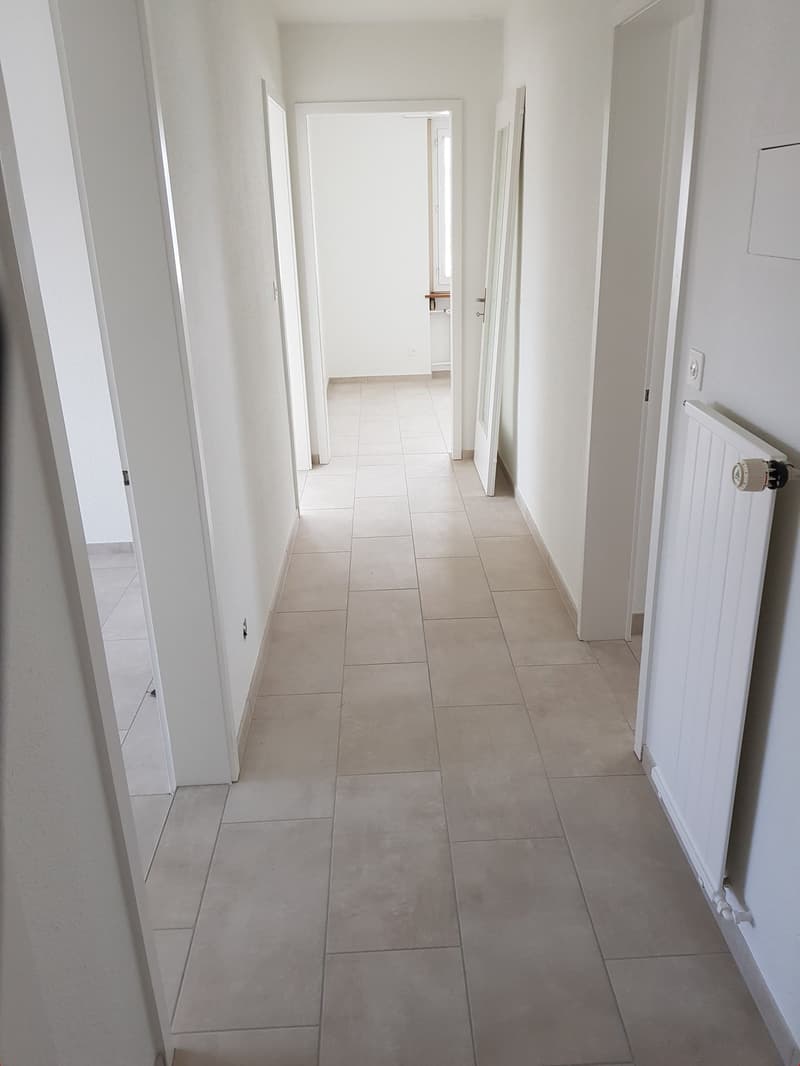Traumhafte Attika mit 53 m2 Terrasse in kleinem Mehrfamilienhaus (6)