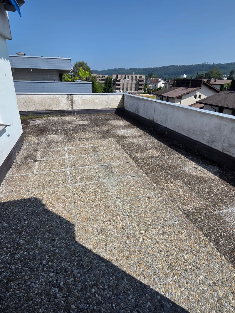 RUHIGE 4-Zimmer-Attikawohnung in kleinem Mehrfamilienhaus (5)